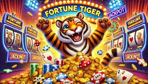 5080 bd Betting Guide overview for adult Bangladesh sports users